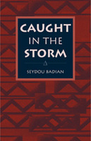 Caught in the Storm [a novel]