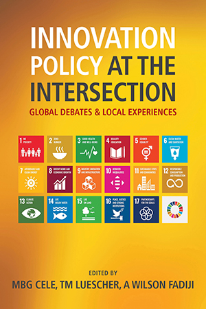 Innovation Policy at the Intersection: Global Debates and Local Experiences 